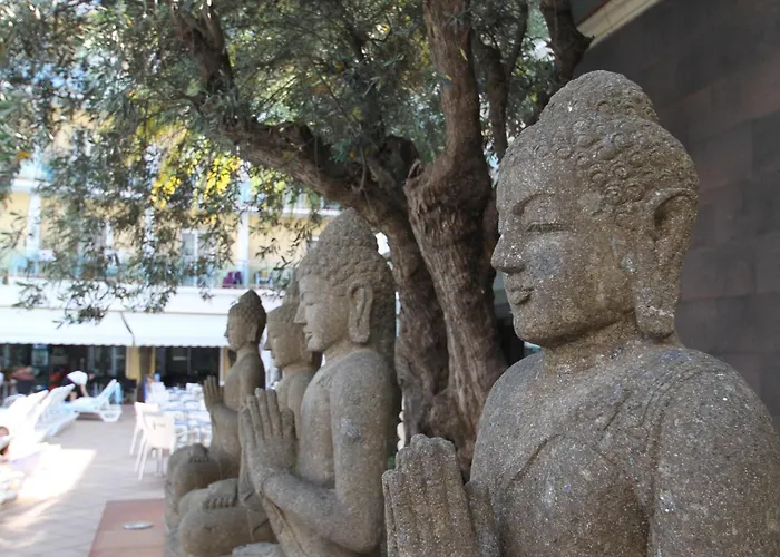 Hotel La Palmera & Spa