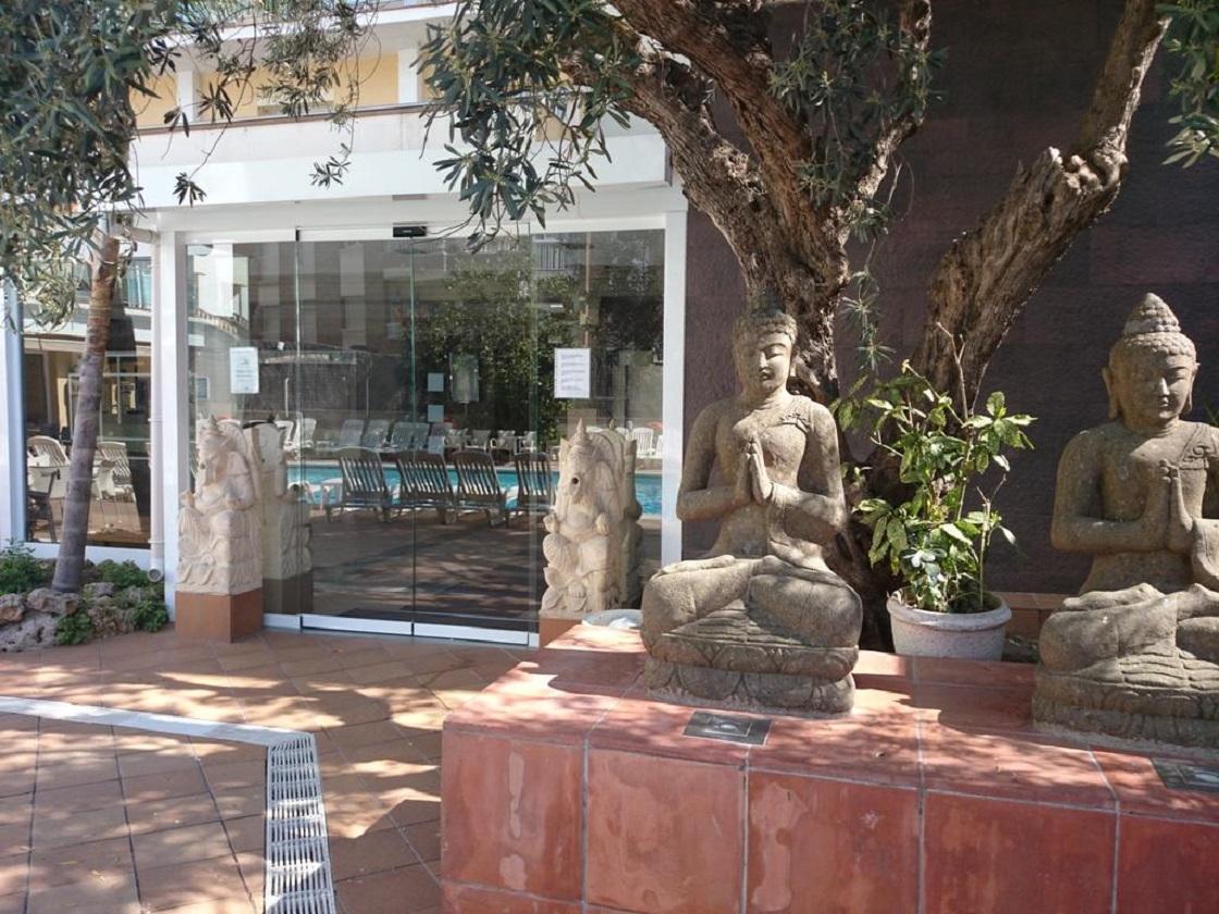 La Palmera & 4*