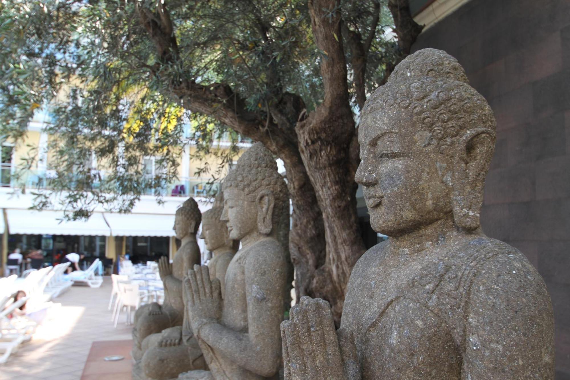 Hotel La Palmera &