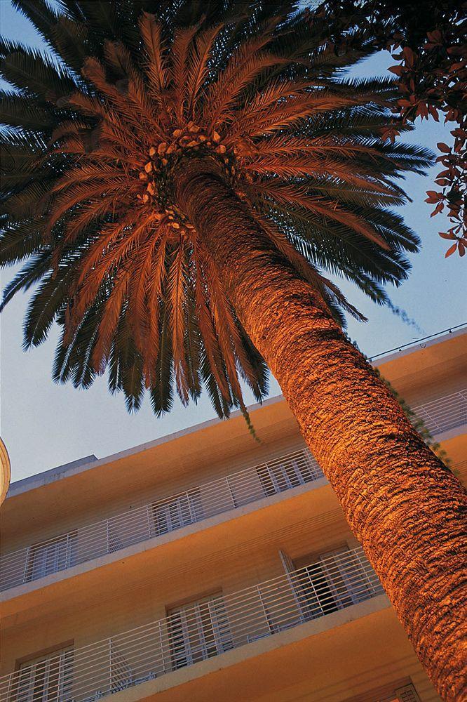 La Palmera & Hotel 4*